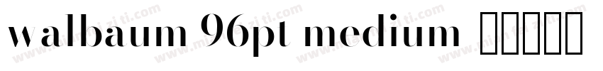 walbaum 96pt medium字体转换